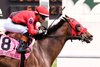 MERCANTE wins the 2025 Arlington Stakes at Churchill Downs