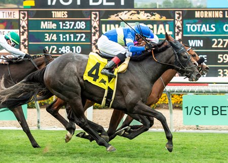 Firenze Flavor (outside) edges Miso Phansy (center) and Jungle Peace (inside) to win the Honeymoon Stakes at Santa Anita Park
