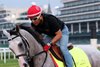Sandman on the track at Churchill Downs on May 1, 2025. Photo By: Chad B. Harmon