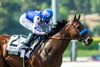 Baoma Corp.’s Nysos and jockey Juan Hernandez win the Grade III $100,000 Triple Bend Stakes Saturday, May 31, 2025 at Santa Anita Park, Arcadia, CA.  
Benoit Photo.