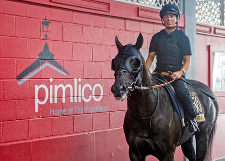 Heart of Honor at Pimlico Race Course