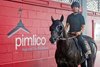Heart of Honor, Pimlico Race Course, May 16, 2025