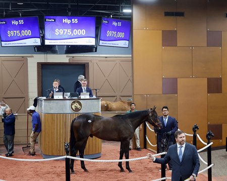 The Constitution colt consigned as Hip 55 in the sales ring at the Fasig-Tipton Midlantic Sale