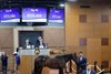 Hip 055, 2025 Fasig-Tipton 2 Year-Olds in Training Sale, Timonium, MD
