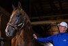 Sovereignty at Bill Mott&#39;s barn on Sunday morning, after winning the 151st Kentucky Derby.