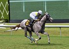 Lennilu wins the 2025 Royal Palm Juvenile Fillies Stakes at Gulfstream Park