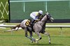 Lennilu wins the 2025 Royal Palm Juvenile Fillies Stakes at Gulfstream Park