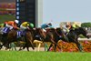 Panja Tower wins the 2025 NHK Mile Cup at Tokyo Racecourse