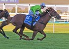 Reserve Bank wins the 2025 Goodwood Handicap at Morphettville
ridden by Jamie Melham and trained by Mick Price and Michael Kent Jr.