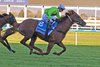 Reserve Bank wins the 2025 Goodwood Handicap at Morphettville
ridden by Jamie Melham and trained by Mick Price and Michael Kent Jr.
