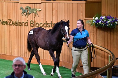 Lot 99, a Satono Aladdin filly, was the highest-priced filly at NZ$120,000 during the 2025 NZB Karaka National Weanling Sale