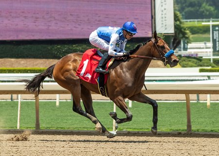 Himika wins her debut at Santa Anita Park