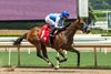 Himika, Maiden Win, Santa Anita Park, June 12 2025