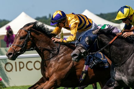 American Affair wins the King Charles III Stakes at Ascot Racecourse