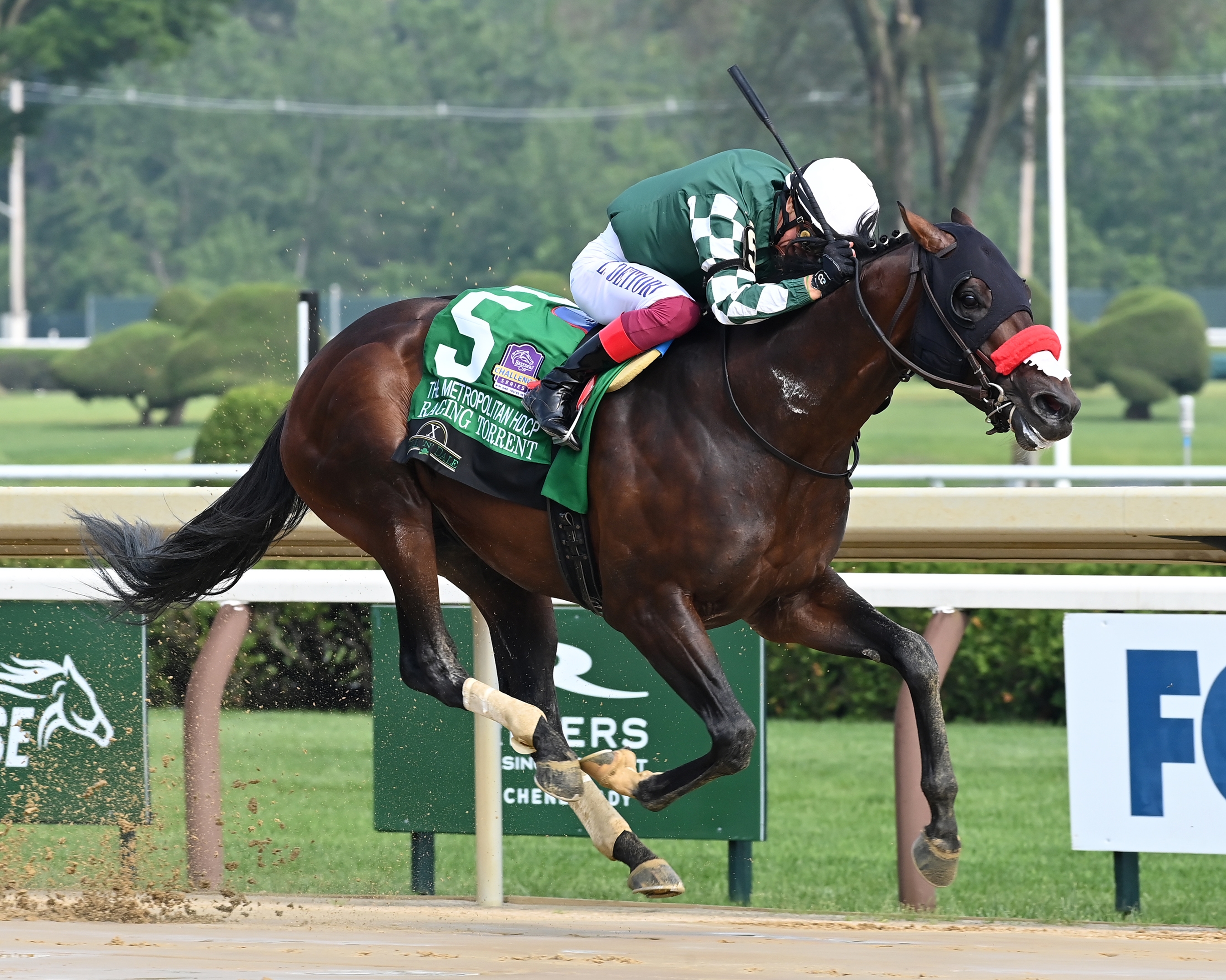 Raging Torrent - Horse Profile - BloodHorse