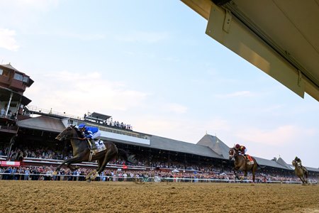 Sovereignty Tops 3YO Longines World Rankings TrueNicks com Sovereignty Tops 3YO Longines World Rankings TrueNicks com