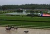 First Race, 2025 Belmont Stakes Day, Saratoga Race Course