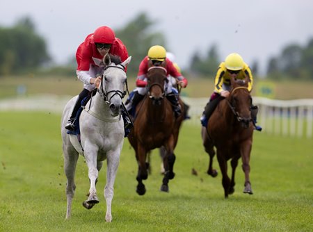 Rogue Legend wins last out at Tipperary Racecourse