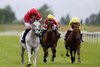 Rogue Legend and Billy Lee winners of 5f median sires series race.
Tipperary.
Photo: Patrick McCann/Racing Post
27.05.2025