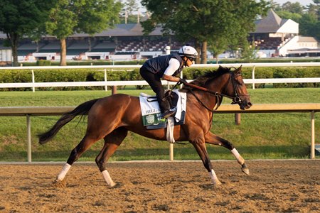 Hill Road trains at Saratoga Race Course