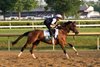 Hill Road at Saratoga Racetrack, Saratoga Springs, NY, June 5, 2025, Javier Molina-BloodHorse