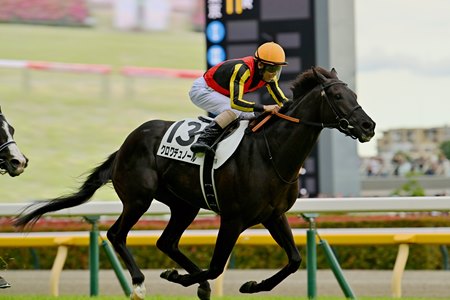 Croix du Nord wins the Tokyo Yushun (Japanese Derby) at Tokyo Racecourse