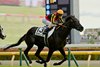 Croix du Nord drives to victory in the Tokyo Yushun (Japanese Derby-G1) June 1 at Tokyo Racecourse.