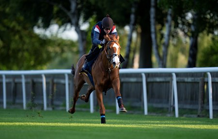 Carl Spackler trains at Newmarket Racecourse