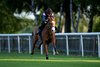 Carl Spackler (Jamie Spencer) gallops on the July Course
Newmarket 11.6.25 Pic: Edward Whitaker
