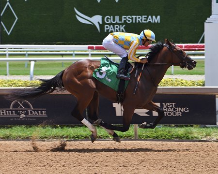 Strategic Risk breaks his maiden at Gulfstream Park