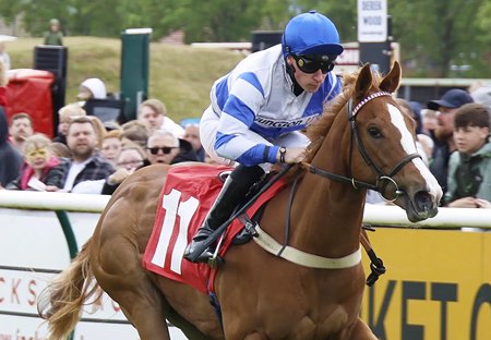 Miss Yechance breaks her maiden at Redcar Racecourse