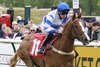 MISS YECHANCE wins at Redcar on May 26, 2025