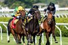 Pipsy with jockey Jose Ortiz, center moves on to win the Intercontinental at the Saratoga Race Course Thursday June 5, 2025 in Saratoga Springs, NY.  Photo by Skip Dickstein