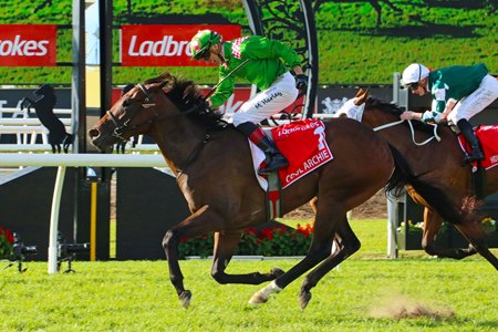 Cool Archie wins the JJ Atkins Stakes at Eagle Farm Racecourse