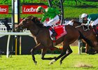 Cool Archie wins the 2025 J. J. Atkins Stakes at Eagle Farm Racecourse
ridden by Martin Harley and trained by Chris &amp; Corey Munce