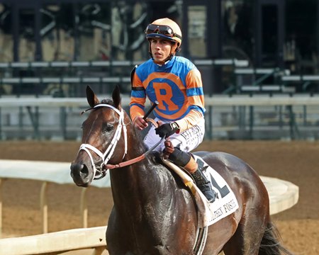 Mindframe after winning the Stephen Foster Stakes at Churchill Downs