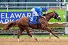 Admiral Dennis wins the 2025 Delaware Derby at Delaware Park