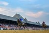 Sovereignty, with Junior Alvarado up, wins the Belmont Stakes (G1) at Saratoga Race Course in Saratoga Springs, New York, on June 7, 2025.
