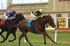Laurelin #9 Jorge Ruiz with  riding won the $150,000 Penn Oaks at Penn National Racecourse in Grantville, Pa. on Friday June 27, 2025. Candy Quest #7 with Javier Castellano placed second. Photo By Taylor Ejdys/EQUI-PHOTO