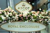 Royal enclosure
Ascot 16.6.25 Pic: Edward Whitaker