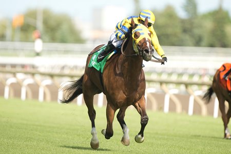 Patches O'Houlihan wins the Highlander Stakes at Woodbine