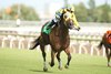 Jockey Sofia Vives guides Patches O&#39;Houlihan to victory in the $200,000 bet365 Highlander Stakes (Grade II). Patches O&#39;Houlihan is owned by Frank D. Giulio Jr. and trained by Robert Tiller. Woodbine/Michael Burns Photo