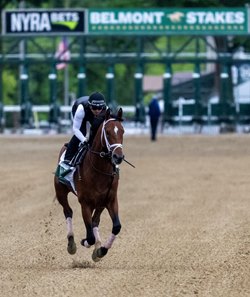 Journalism stretches his legs at Saratoga