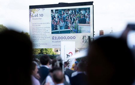 Ghostwriter sells for £2,000,000 to Amo Racing