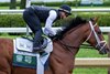 2025 Preakness winner Journalism with regular rider Humbert Rispoli put in his final work in preparations for the 2025 Belmont Stakes for trainer Mike McCarthy this morning on the main track at Saratoga Race Course Sunday June 1 2025 in Saratoga Springs, N.Y. Photo  by Skip Dickstein