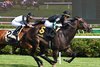 Pipsy wins the 2025 Intercontinental Stakes at Saratoga Race Course