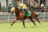 Jockey Sofia Vives guides Patches O&#39;Houlihan to victory in the $200,000 bet365 Highlander Stakes (Grade II). Patches O&#39;Houlihan is owned by Frank D. Giulio Jr. and trained by Robert Tiller. Woodbine/Michael Burns Photo