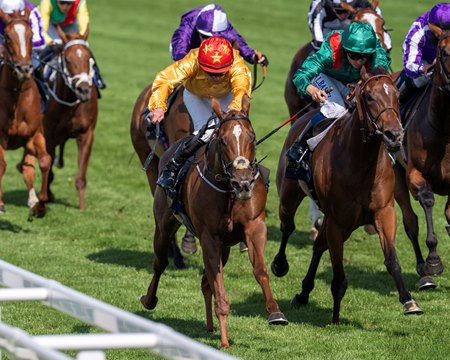 Cercene captures the Coronation Stakes at Ascot Racecourse