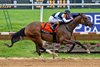 Fondly wins the 2025 Delaware Oaks at Delaware Park