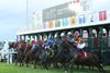 Sushi Man wins the 2025 Canterbury Derby at Canterbury Park